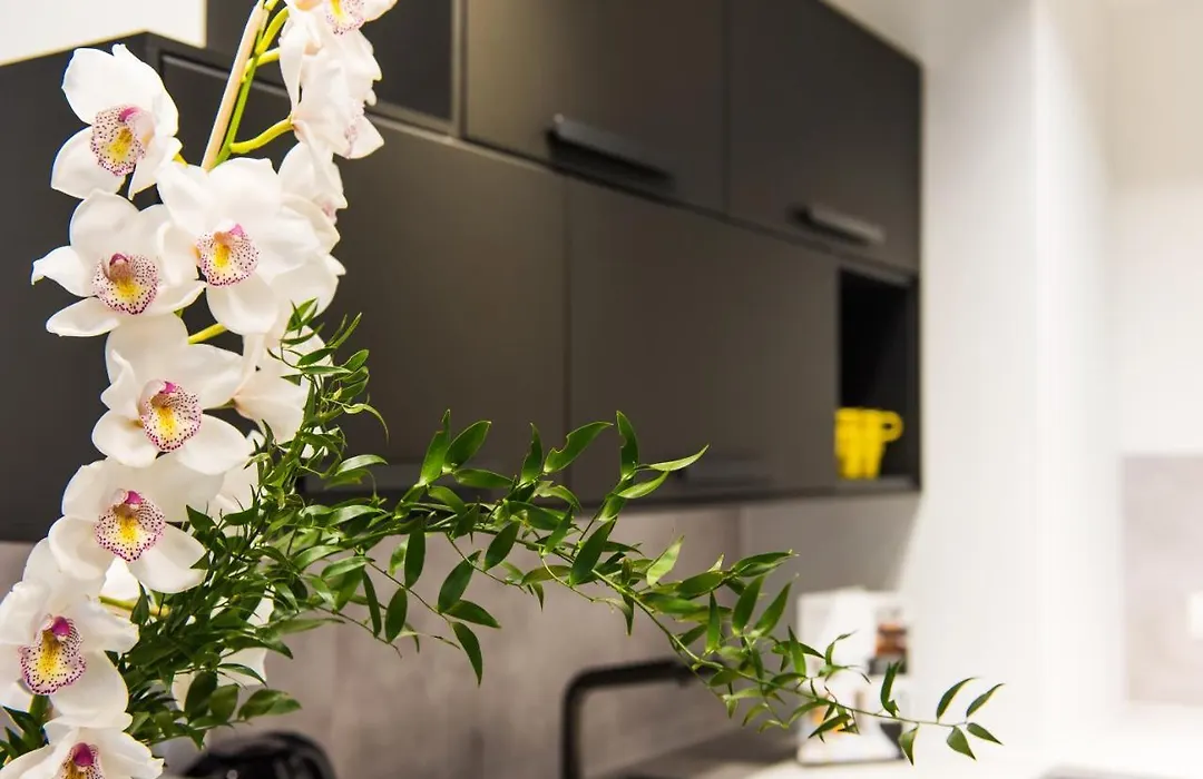 Bed&Bath Luxury Apartments-1